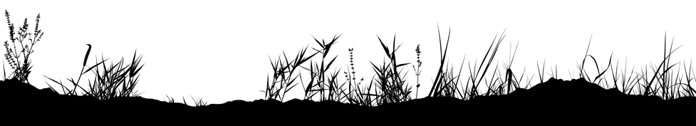 Grass_PNG_Silhouette_Clip_Art_Image.png